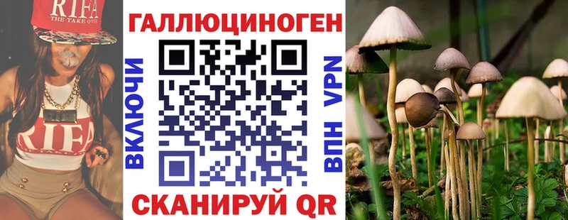 Псилоцибиновые грибы MAGIC MUSHROOMS  omg ONION  Ивантеевка 